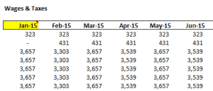 Headcount Forecast Wages