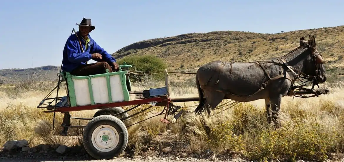 Subscription pricing band wagon