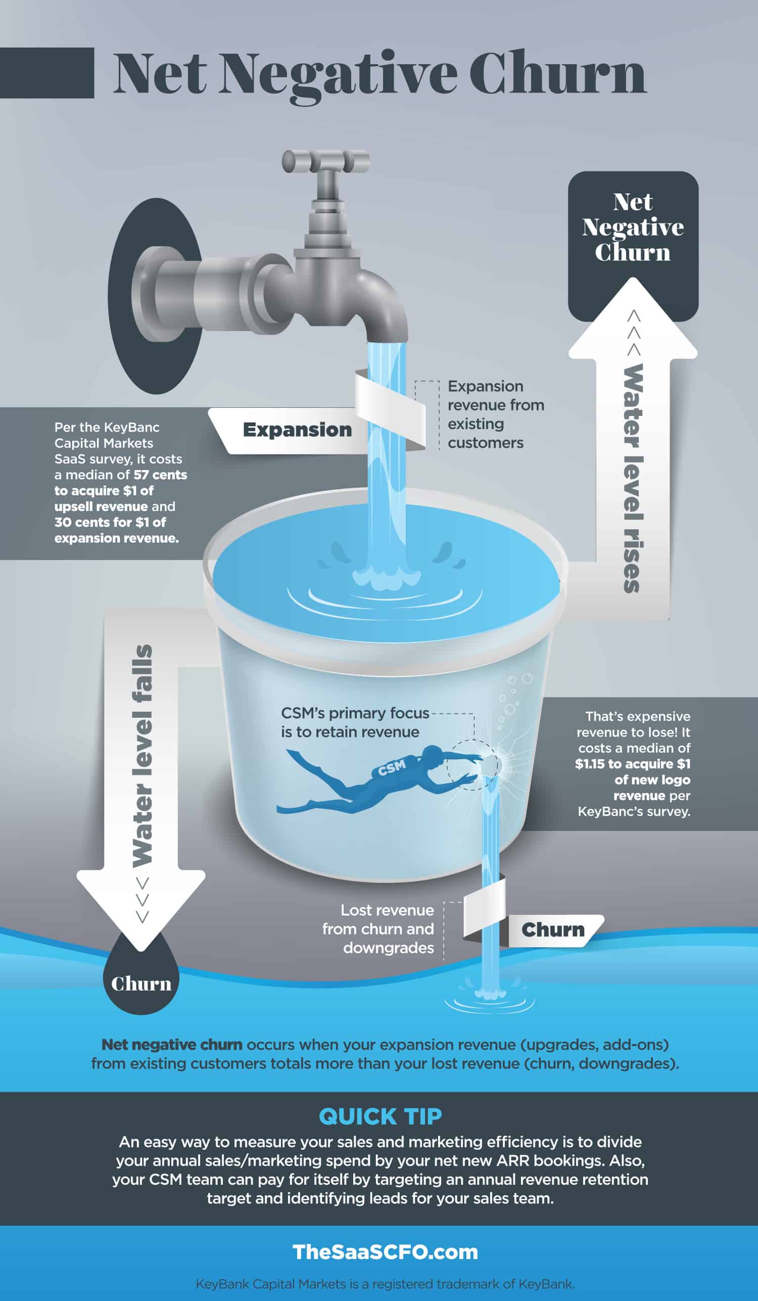Net Negative Churn Infographic