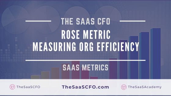 ROSE Metric