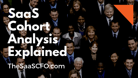 SaaS Cohort Analysis