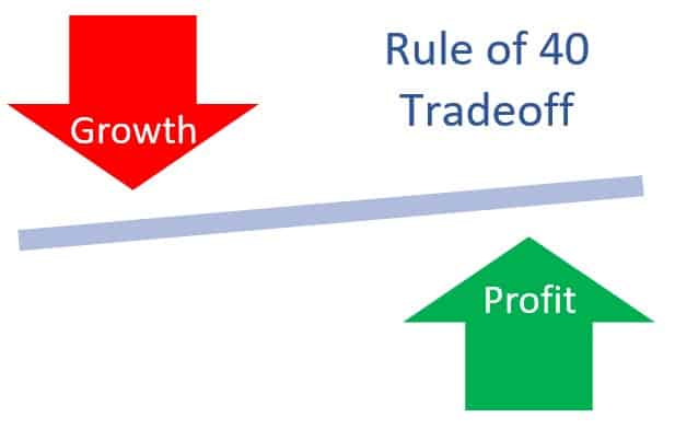 profit versus growth the rule of 40 SaaS