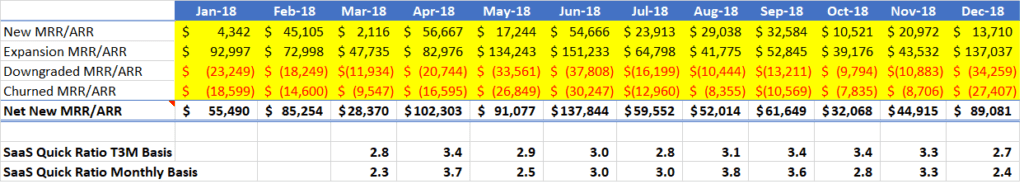 SaaS Quick Ratio Report