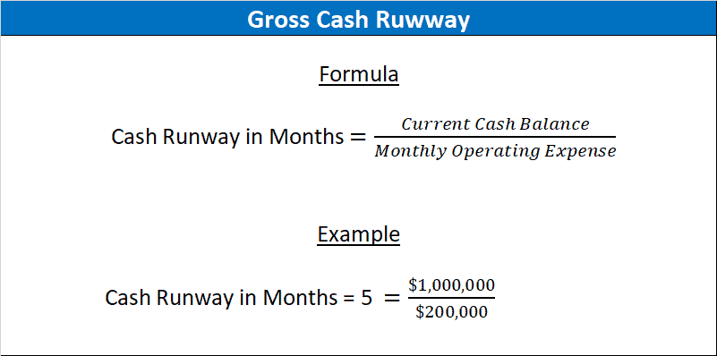 gross cash burn