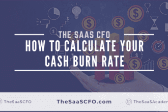 cash burn rate