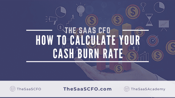 cash burn rate