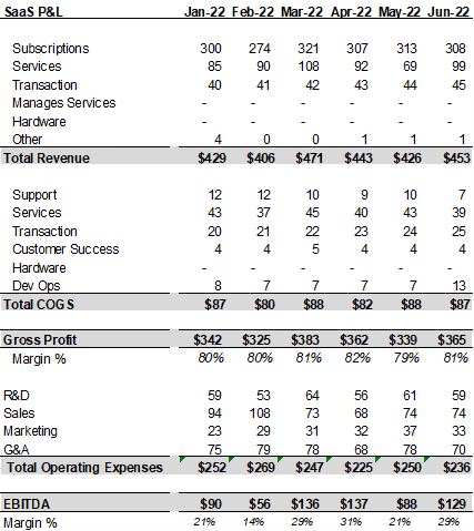 SaaS P&L