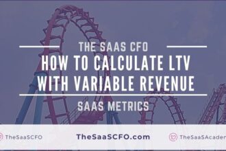 saas customer lifetime value