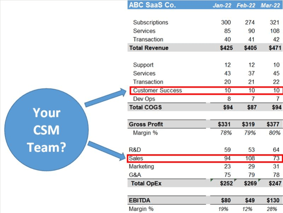 customer success in saas