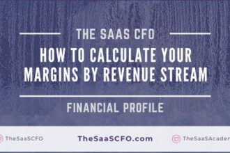 saas gross margins by revenue stream