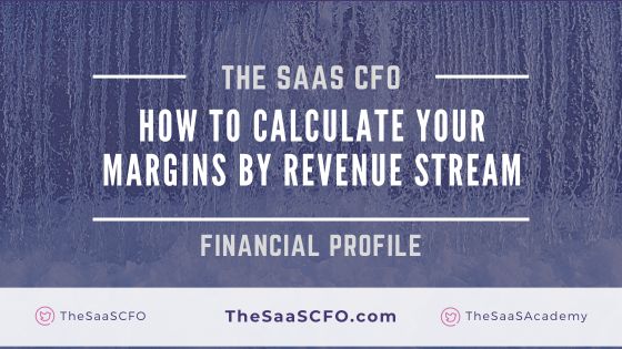 saas gross margins by revenue stream