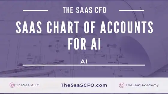 saas chart of accounts for ai
